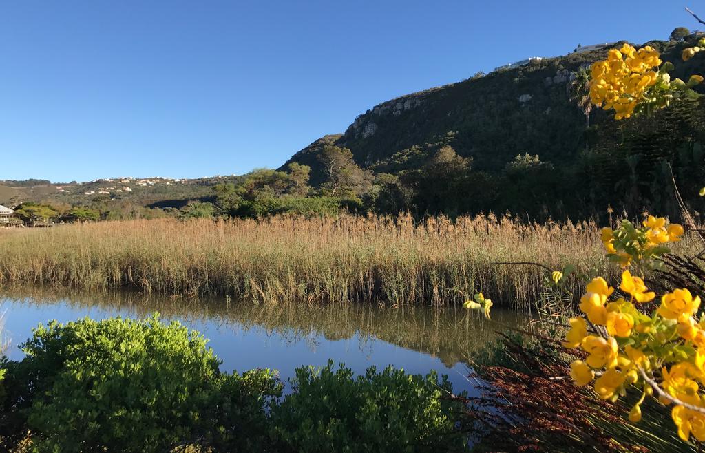 Robin 4270 Βίλα Plettenberg Bay Εξωτερικό φωτογραφία